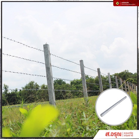 จำหน่ายเสารั้วคอนกรีต ขนาด 2.5 เมตร จำหน่ายเสารั้วคอนกรีต ขนาด 2.5 เมตร