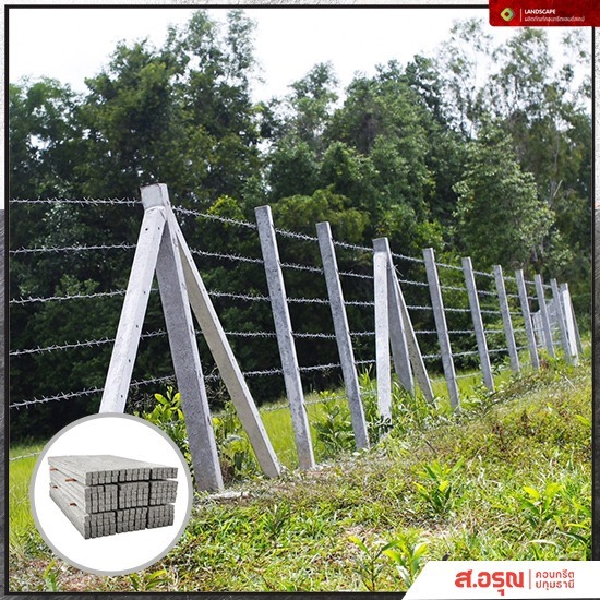 ขายส่งเสารั้วคอนกรีต ขนาด 3 เมตร - โรงงานผลิตรั้วเสาสำเร็จรูปคอนกรีต ส.อรุณคอนกรีต ปทุมธานี ขายส่งเสารั้วคอนกรีต ขนาด 3 เมตร - โรงงานผลิตรั้วเสาสำเร็จรูปคอนกรีต ส.อรุณคอนกรีต ปทุมธานี