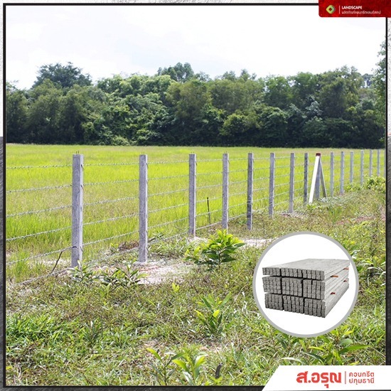 เสารั้วลวดหนาม ราคาถูก ปทุมธานี - โรงงานผลิตรั้วเสาสำเร็จรูปคอนกรีต ส.อรุณคอนกรีต ปทุมธานี เสารั้วลวดหนาม ราคาถูก ปทุมธานี - โรงงานผลิตรั้วเสาสำเร็จรูปคอนกรีต ส.อรุณคอนกรีต ปทุมธานี