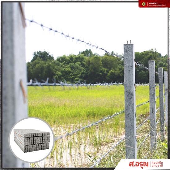 โรงงานผลิตเสารั้วคอนกรีต ราคาโรงงาน ปทุมธานี โรงงานผลิตเสารั้วคอนกรีต ราคาโรงงาน ปทุมธานี